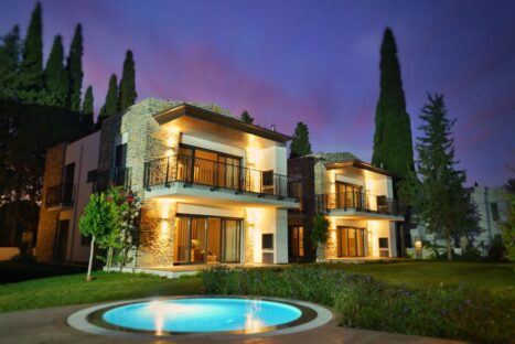 Regia Begonvil Projesi