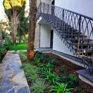 Regia Begonvil Projesi