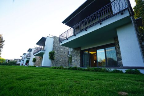 Regia Begonvil Projesi