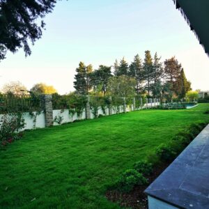 Regia Begonvil Projesi