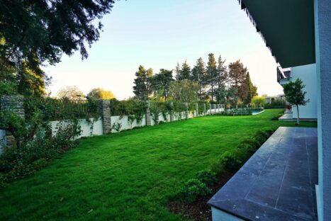 Regia Begonvil Projesi